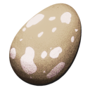 ペゴマスタクスの卵