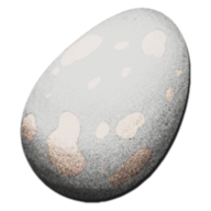 ティタノボアの卵